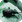 Vine weevil