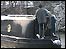 Narrowboat on Erewash Canal