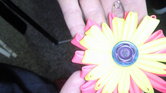 Brooch Brooch