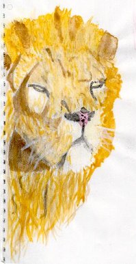 Aisatic lion