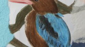 Colourful kingfisher...
