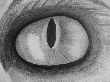 Cat eye