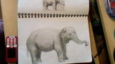 Elephant Elephant