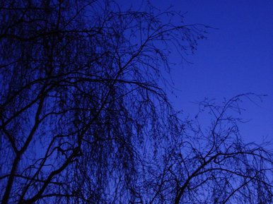 Blue light