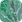 Greenfly