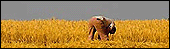 Derbyshire weather images
