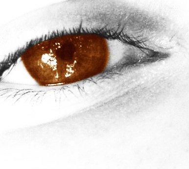 Eye