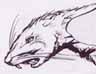 'Exploding' rat