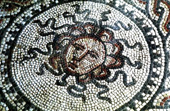 Head of Medusa