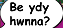 Beth ydy hwn?