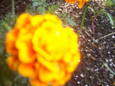 Closeup!