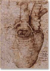 Heart sketch