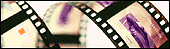 Film and cinema search