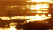 Flooding on the Towy by Huw Benyon