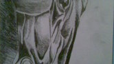 Horse's head... Horse's head...