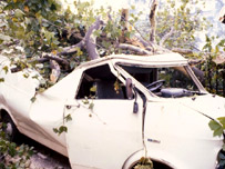 Storm of 1987