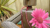 Flower Pot Man...