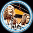 Slade