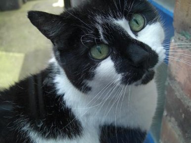 Sally