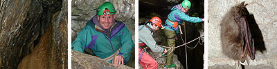cave, mike, bat