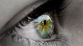The Beautiful... The Beautiful...