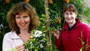 Beechgrove Garden series image