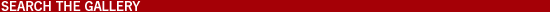 Search the gallery