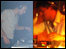 DJ competition