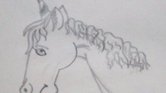Unicorn.. Unicorn..