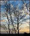 Campus Fields at Lancaster University by John Shepherd