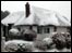 Snow landscapes