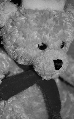 Christmas teddy