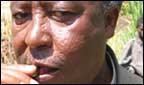 Chewing the khat