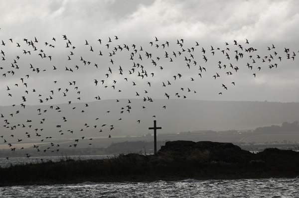 Knots in Flight