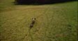 babongo's video screenshot thumbnail