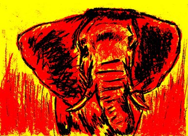 Elephant
