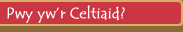 Tystiolaeth